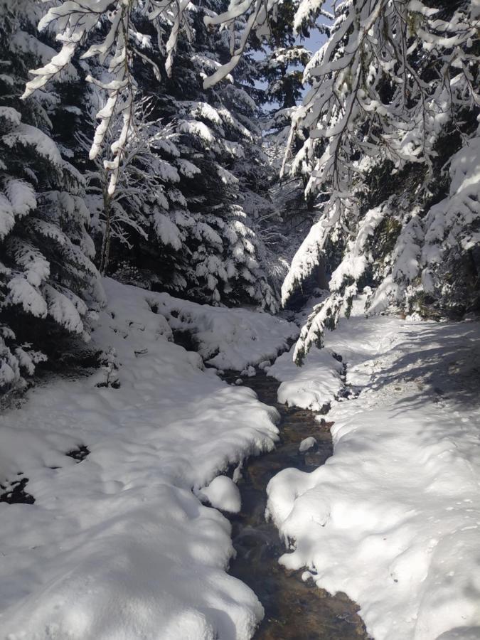 Studio 3 Personnes Au Pied Des Piste Plateau De Bonascre - Ax 3 Domaines Ete Hiver Ax-les-Thermes Exterior foto